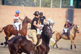 Aitchison Polo Players Performing Well