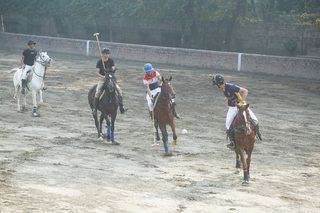 Aitchison Polo Players Performing Well
