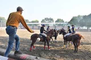 Arena Polo Prepares for Upcoming Matches