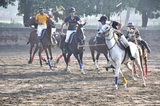 Arena Polo Prepares for Upcoming Matches