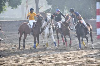 Arena Polo Prepares for Upcoming Matches