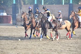 Arena Polo Prepares for Upcoming Matches