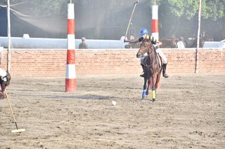 Arena Polo Prepares for Upcoming Matches