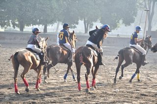Arena Polo Prepares for Upcoming Matches