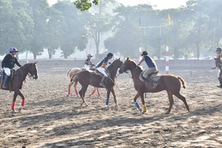 Arena Polo Prepares for Upcoming Matches