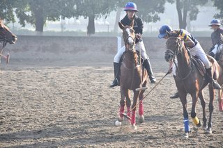 Arena Polo Prepares for Upcoming Matches