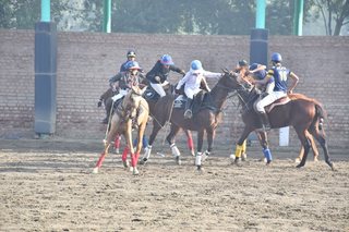 Arena Polo Prepares for Upcoming Matches