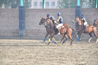 Arena Polo Prepares for Upcoming Matches