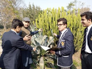 Trip to Botanical Garden Jallo Park