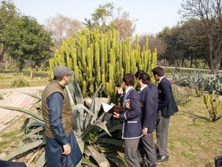 Trip to Botanical Garden Jallo Park