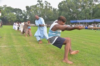 Independence Day Sports
