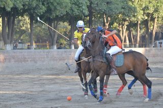 Aitchison Inaugural Arena Polo Tournament