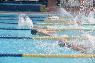 JS Swimming Gala, 2018
