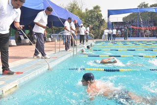 Swimming Gala 2017