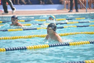 Swimming Gala 2017