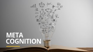 Meta Cognition