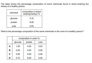 Photograph 45997