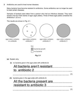 Photograph 46137