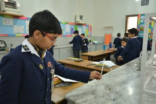 Around the Schools
