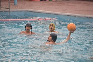 Sports