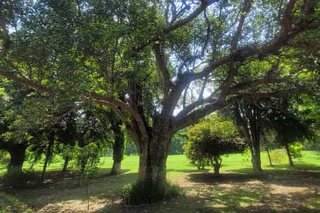 Photograph 4723