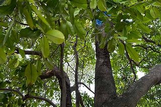 Photograph 4724
