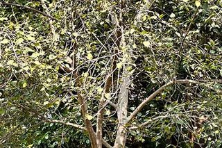 Photograph 4725