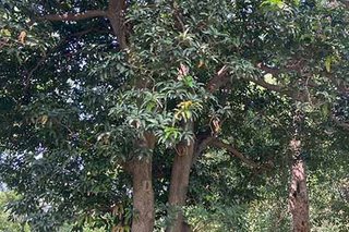 Photograph 4727