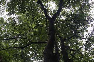 Photograph 4731