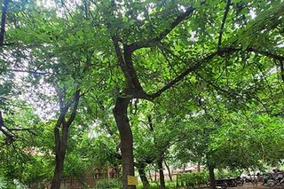 Photograph 4732