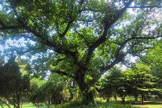 Photograph 4741