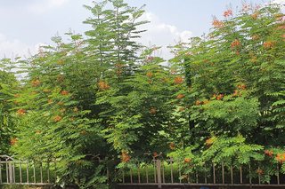 Photograph 4744