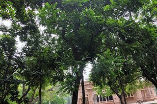 Photograph 4745