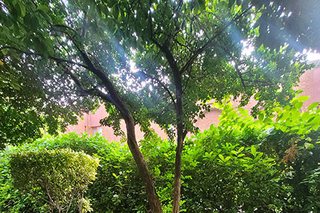 Photograph 4746