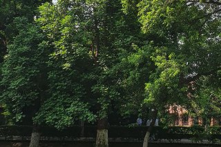 Photograph 4747