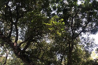 Photograph 4750
