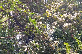 Photograph 4751
