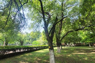 Photograph 4754