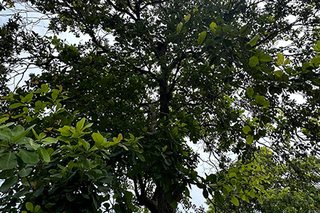Photograph 4755