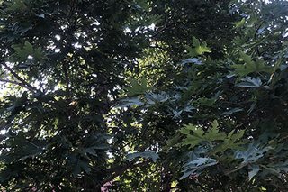 Photograph 4757