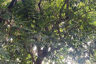 Photograph 4759