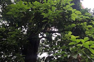 Photograph 4761