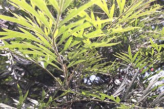 Photograph 4763