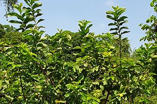 Photograph 4764