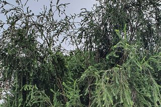 Photograph 4765