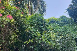 Photograph 4766