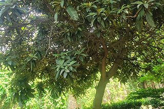 Photograph 4767