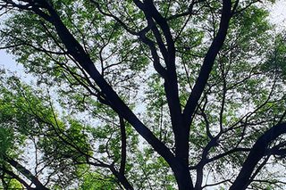 Photograph 4768
