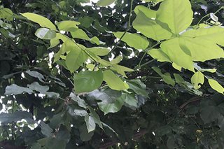 Photograph 4770