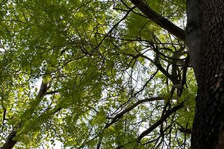 Photograph 4776